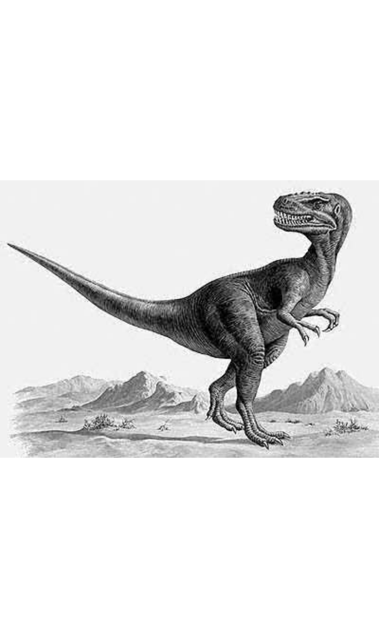 Alectrosaurus