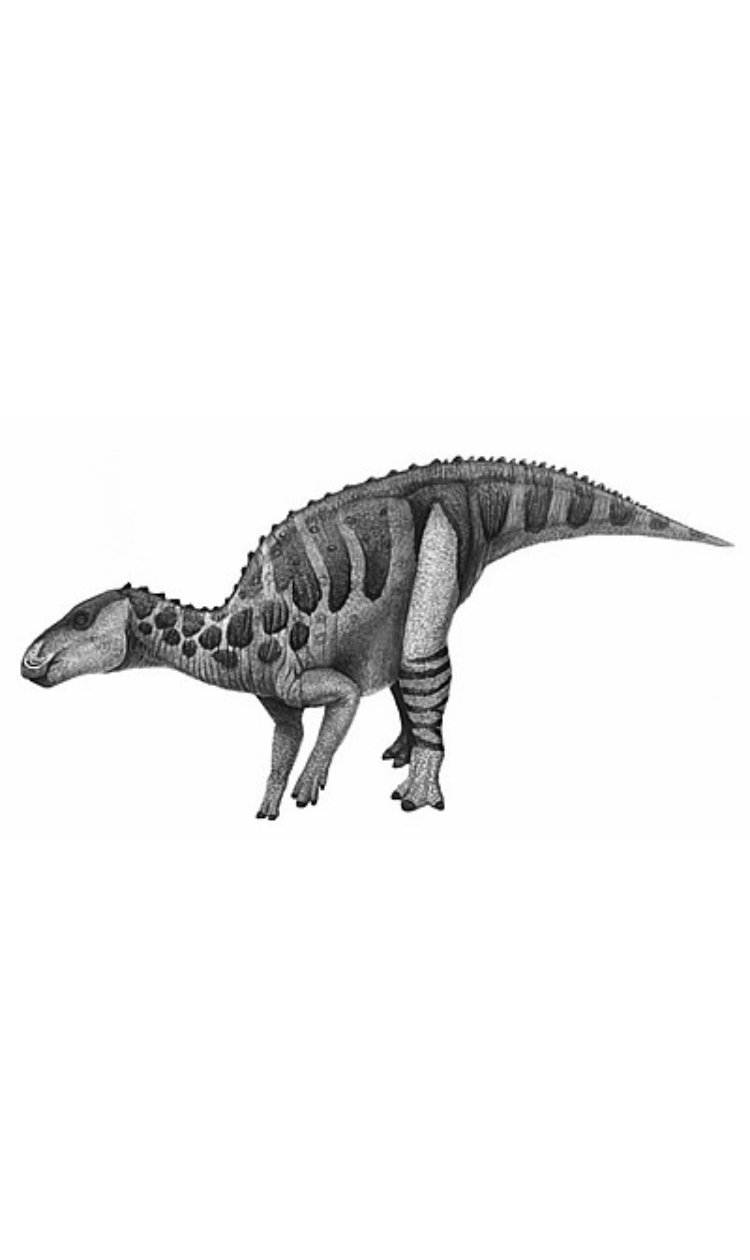 Bactrosaurus