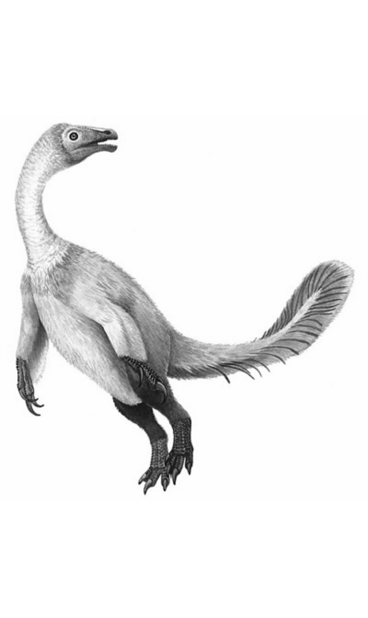 Beipiaosaurus