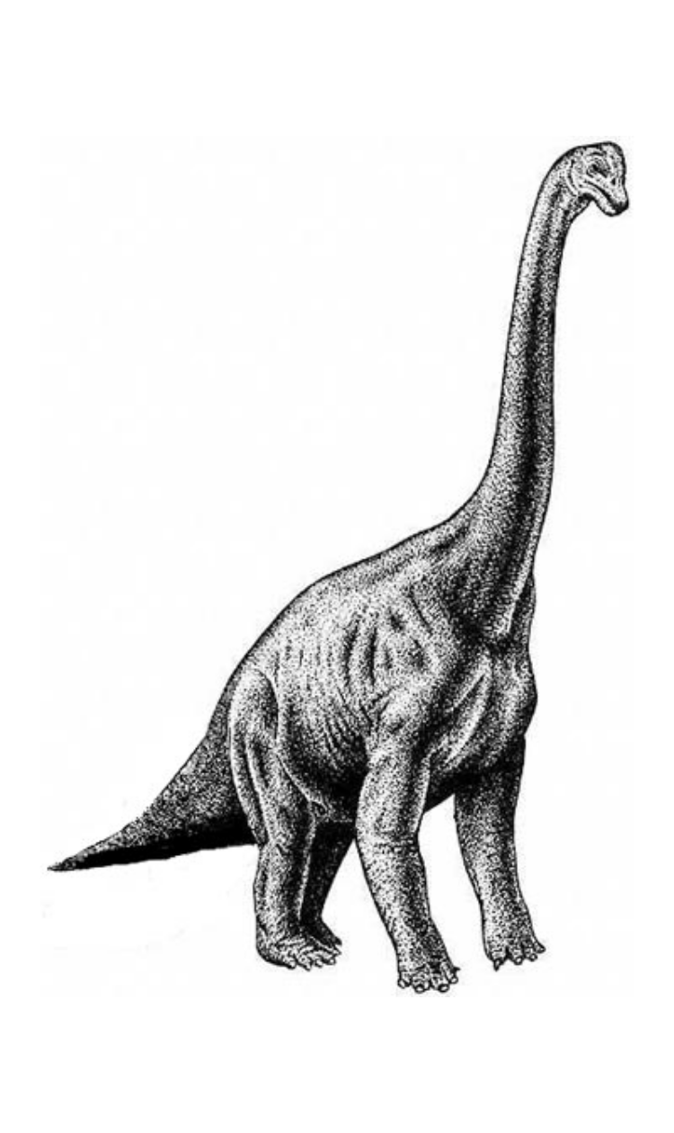 Brachiosaurus