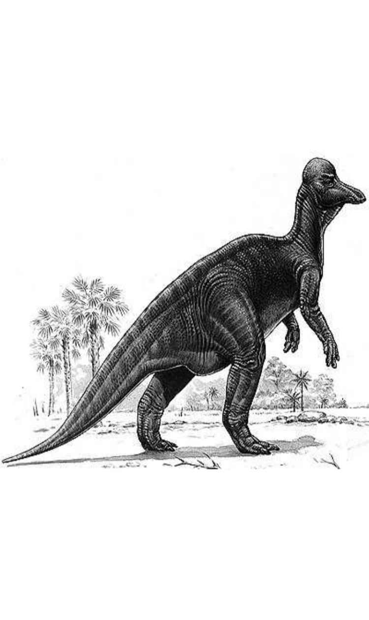 Corythosaurus