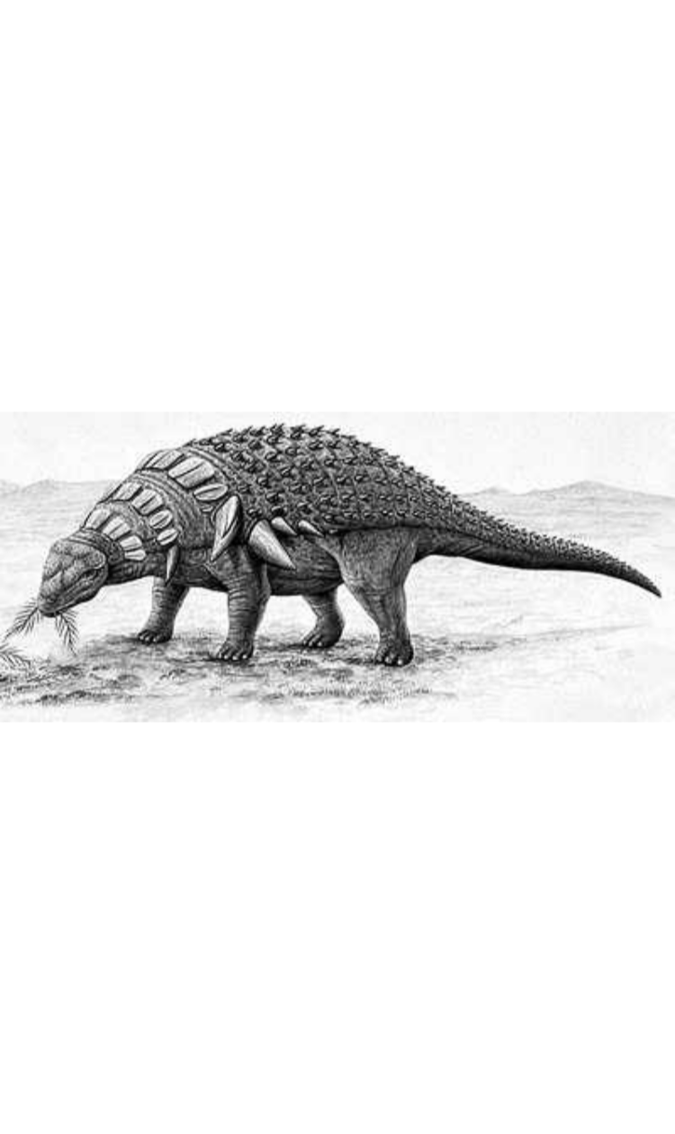 Edmontonia