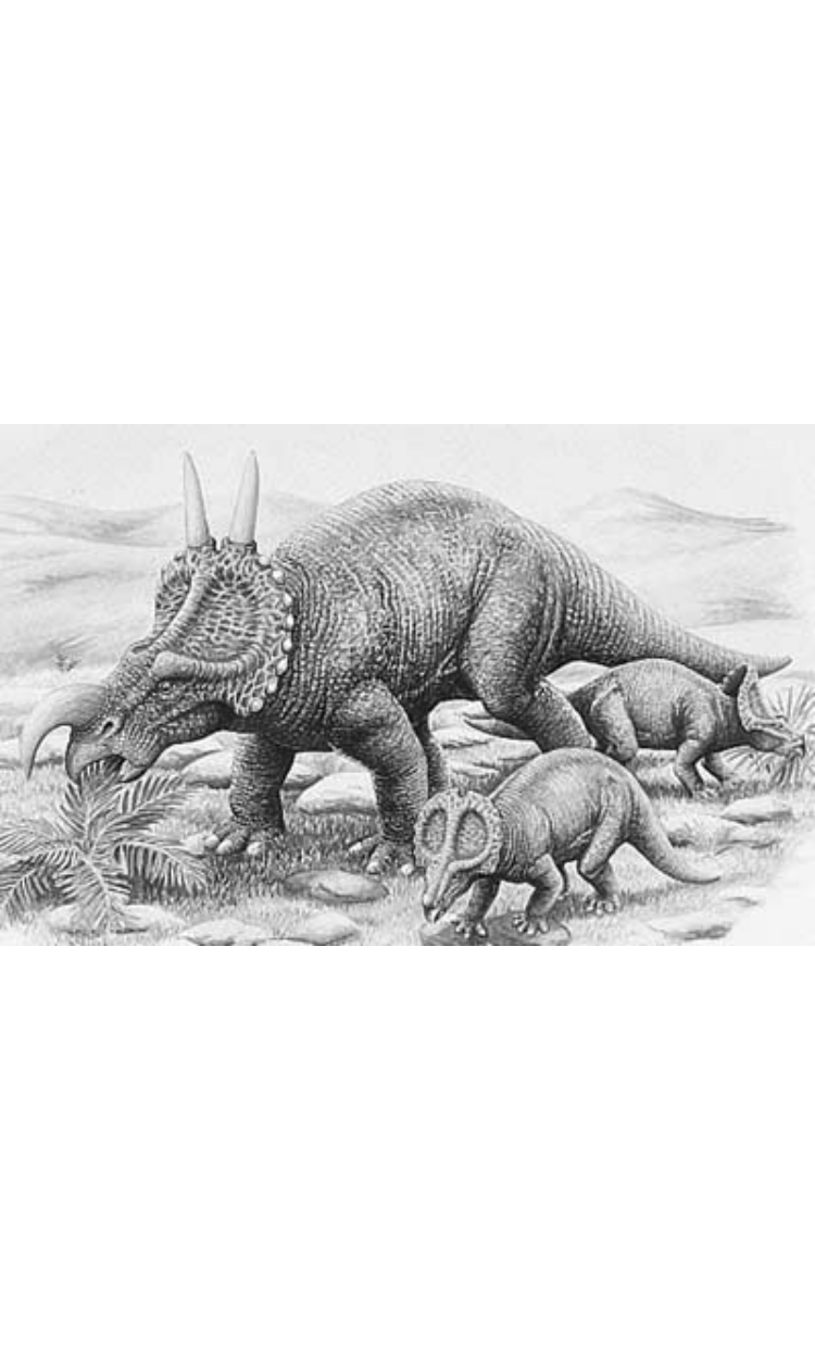 Einiosaurus
