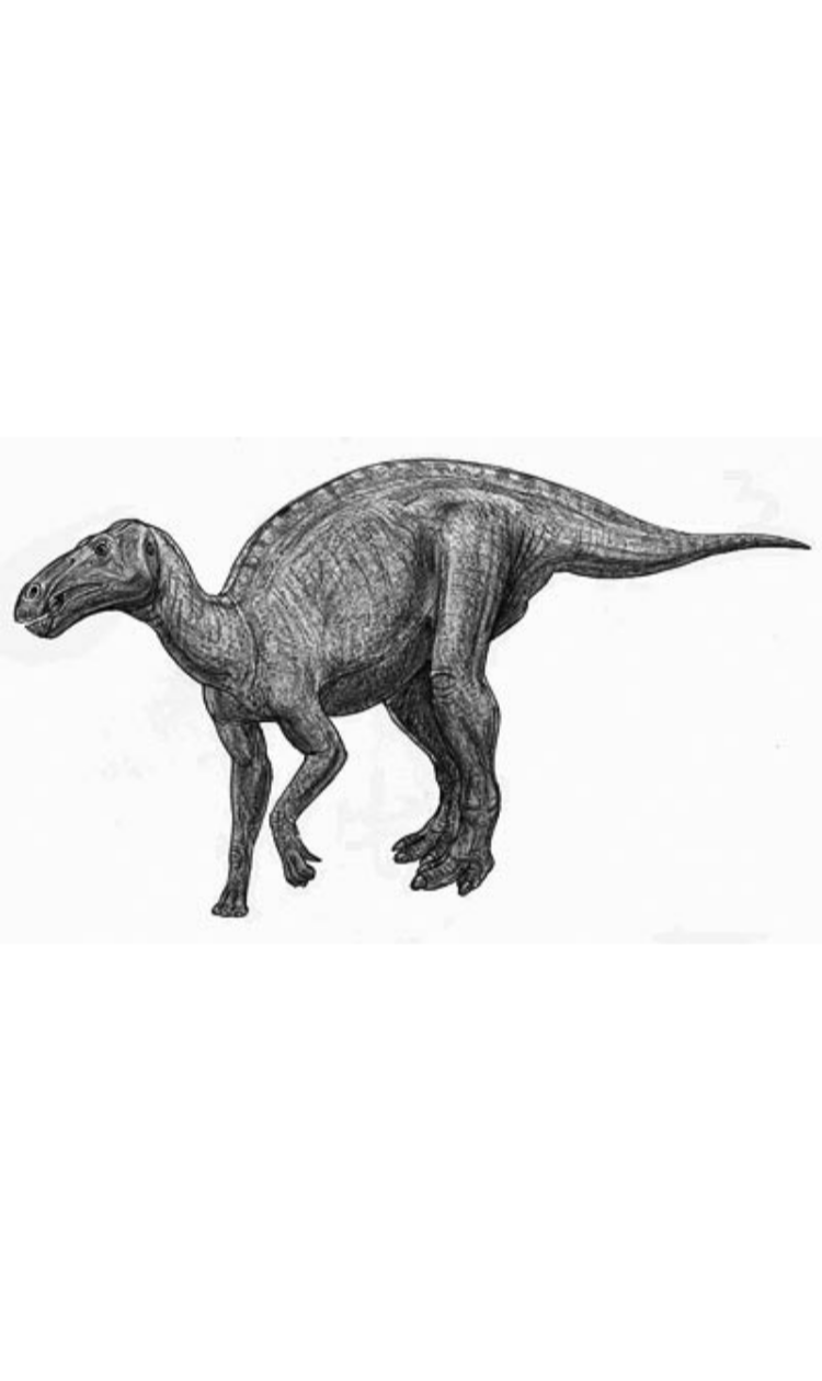 Eolambia