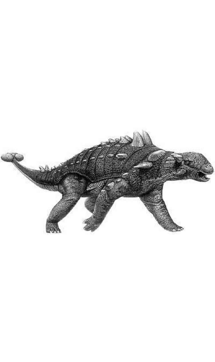 Euoplocephalus
