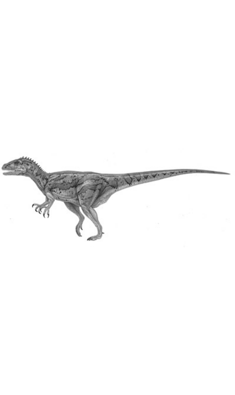 Fukuiraptor