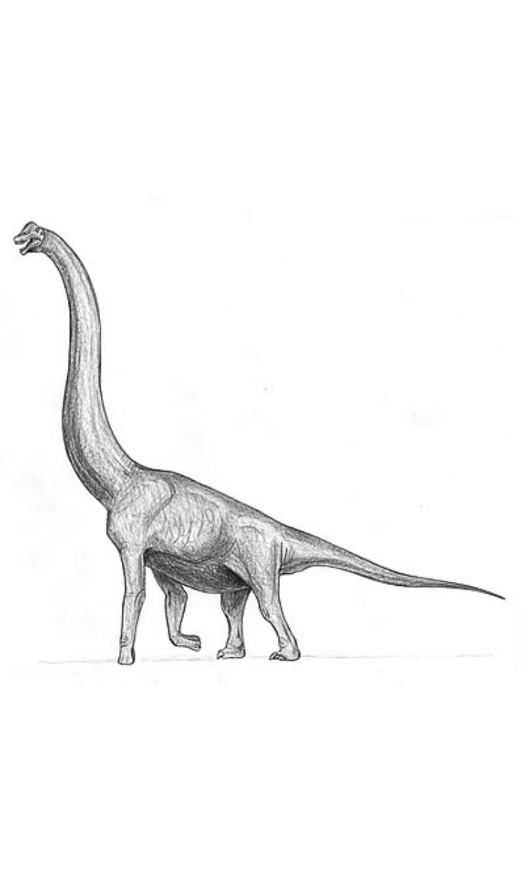 Giraffatitan