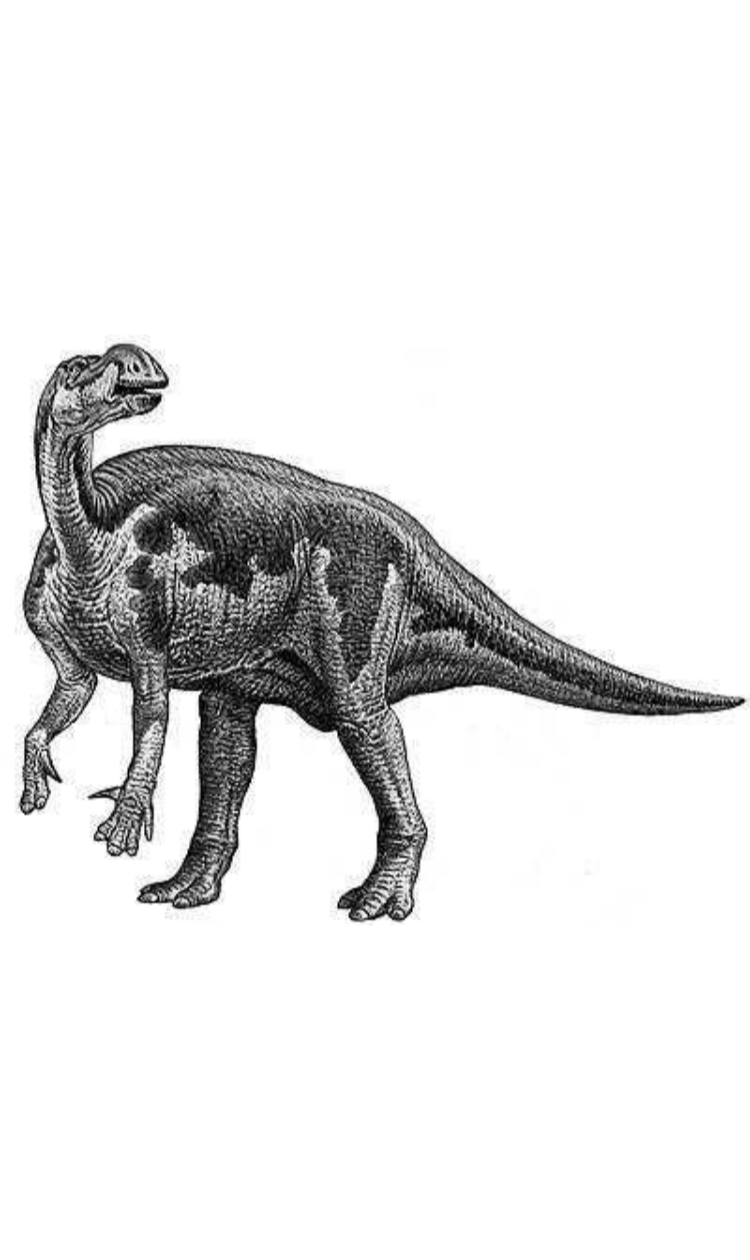 Muttaburrasaurus