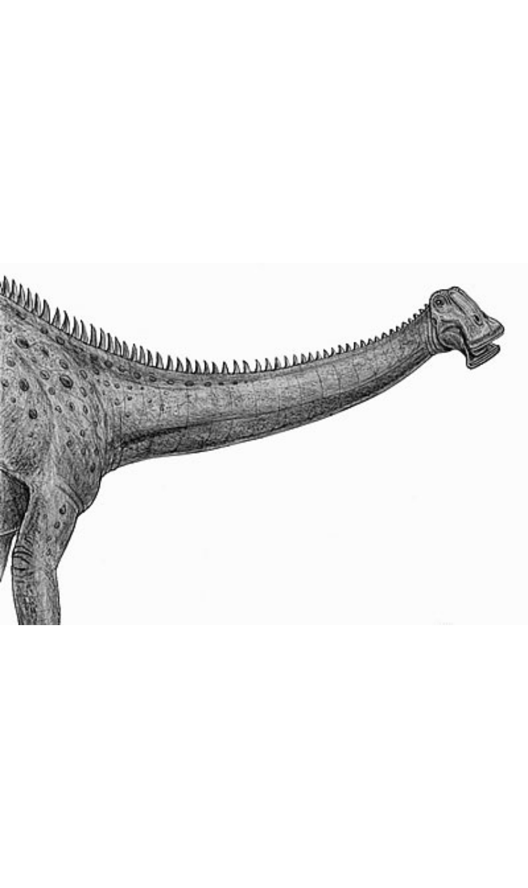 Nigersaurus