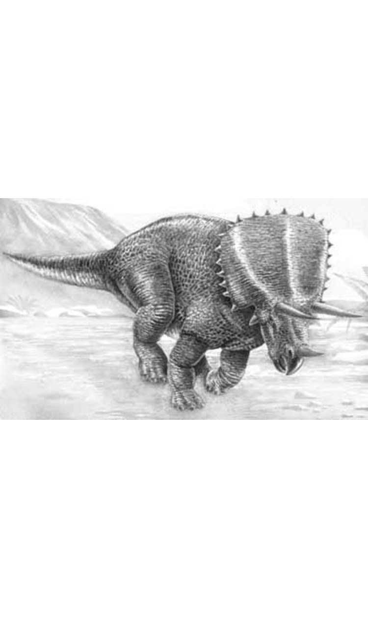 Pentaceratops